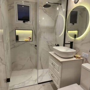 Professional Plumber